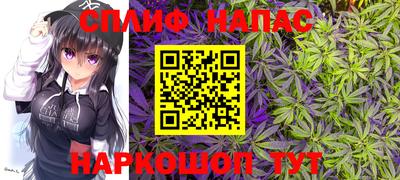 ГАЛЛЮЦИНОГЕННЫЕ ГРИБЫ Тара