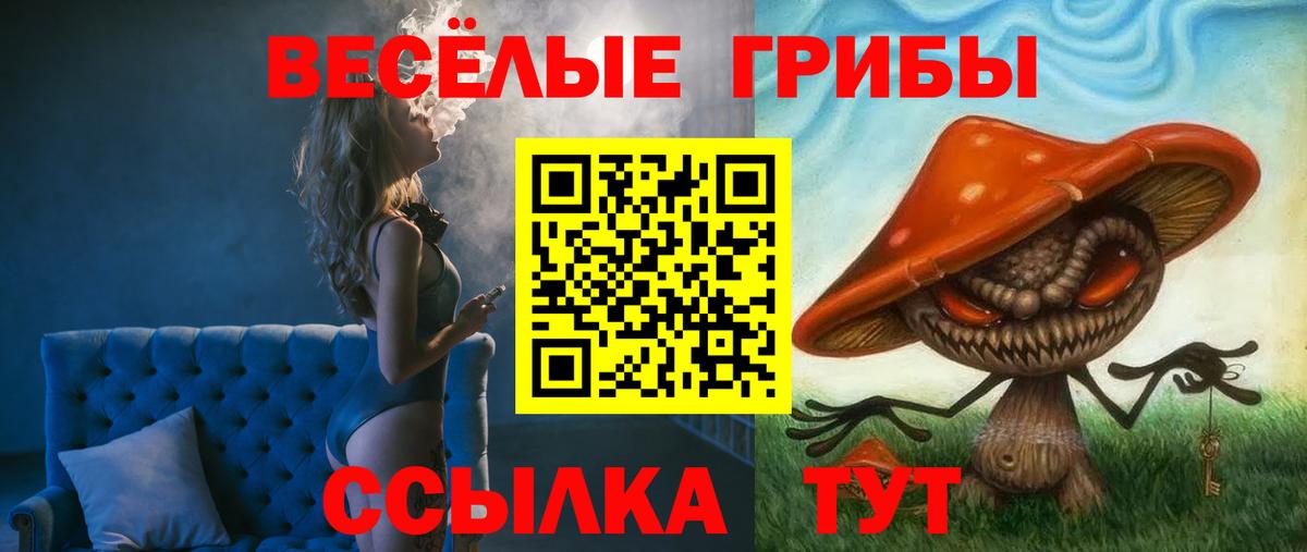 Галлюциногенные грибы Cubensis Тамбов